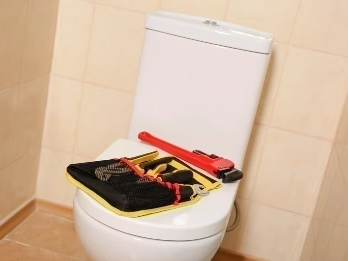 Toilet Repair and Installation in Bonney Lake, WA